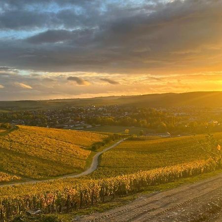 Maison De Campagne Entre Vigne Et Bois Chablis Eksteriør billede