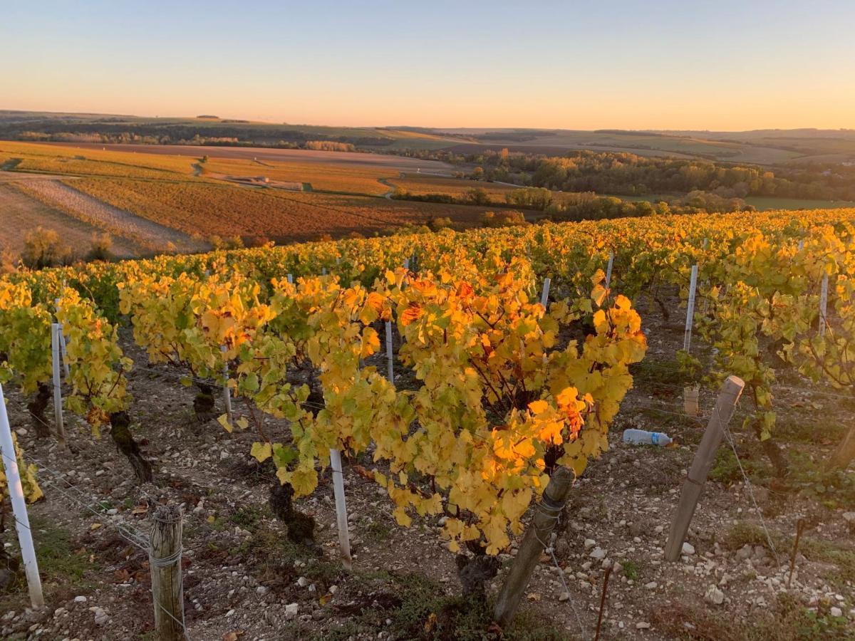 Maison De Campagne Entre Vigne Et Bois Chablis Eksteriør billede